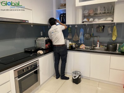 Điều gì thu hút kiến xâm nhập vào phòng khách? Thông tin về Kiến