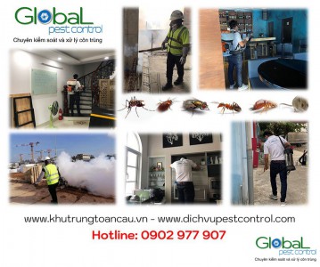 Dịch vụ Pest Control tại Quận 11, Quận 12 – Xử lý và diệt côn trùng tổng hợp