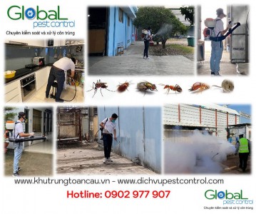 Dịch vụ Pest Control tại Quận 5, Quận 6 – Xử lý và diệt côn trùng tổng hợp