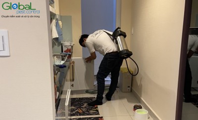 Điều gì thu hút kiến ​​xâm nhập vào phòng tắm? Thông tin về Kiến