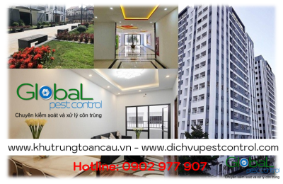 Dịch vụ xử lý và diệt Chuột cho Căn hộ, Chung cư tại Hồ Chí Minh