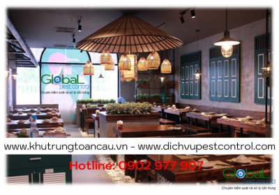 Dịch vụ xử lý và diệt Chuột cho Nhà hàng, Quán ăn tại Hồ Chí Minh