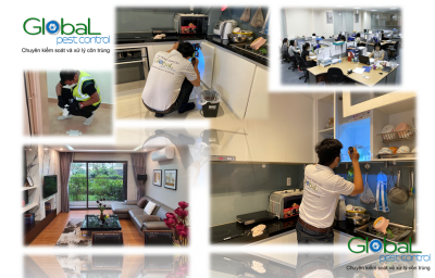 Dịch vụ Pest Control tại Quận 1, Quận 2 – Xử lý và diệt côn trùng tổng hợp