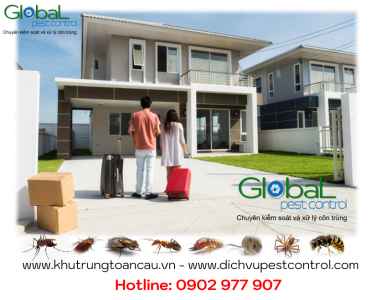 Bạn đã xử lý và diệt côn trùng cho ngôi nhà mới của mình chưa?