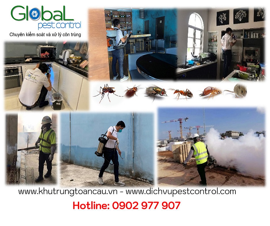 dịch vụ diệt côn trùng (1)