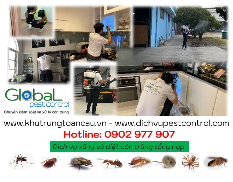Dịch vụ diệt côn trùng tổng hợp