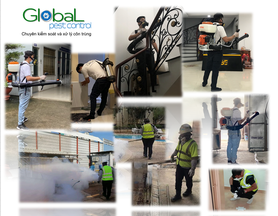 Xử lý và diệt côn trùng tổng hợp - ipm pest control