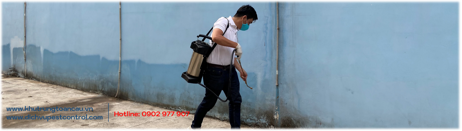 Lý do khách hàng chọn dịch vụ xử lý và diệt côn trùng tổng hợp của Khử Trùng Toàn Cầu.