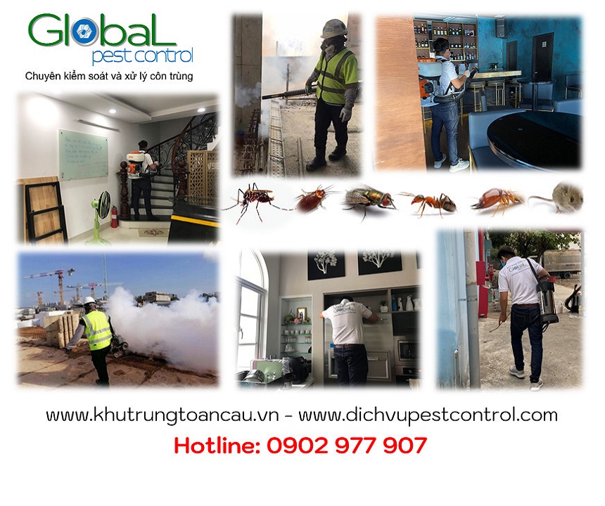 Xử lý và diệt côn trùng tổng hợp – ipm pest control do Khử Trùng Toàn Cầu thực hiện