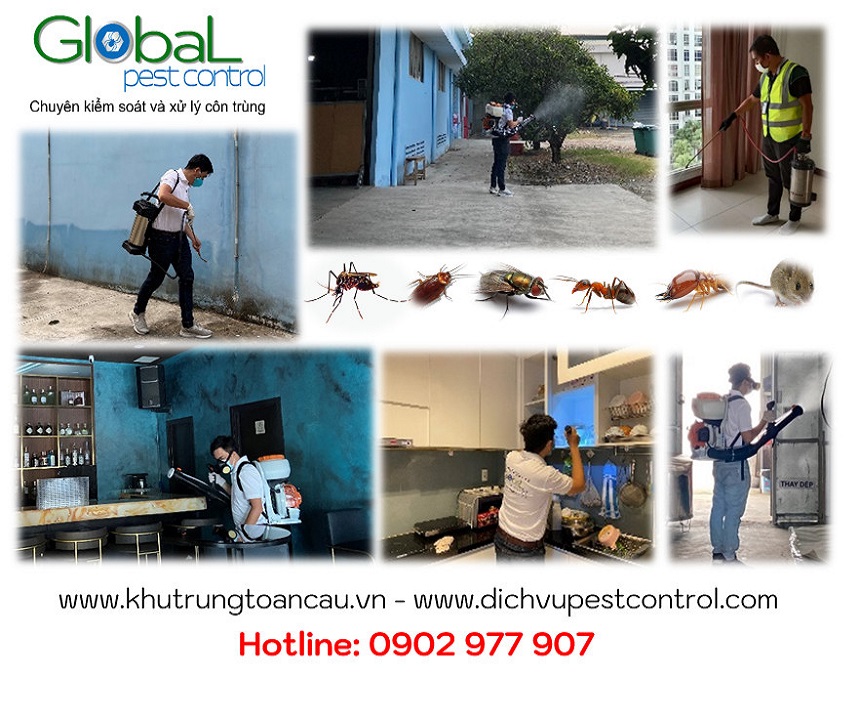 dịch vụ diệt côn trùng (3)