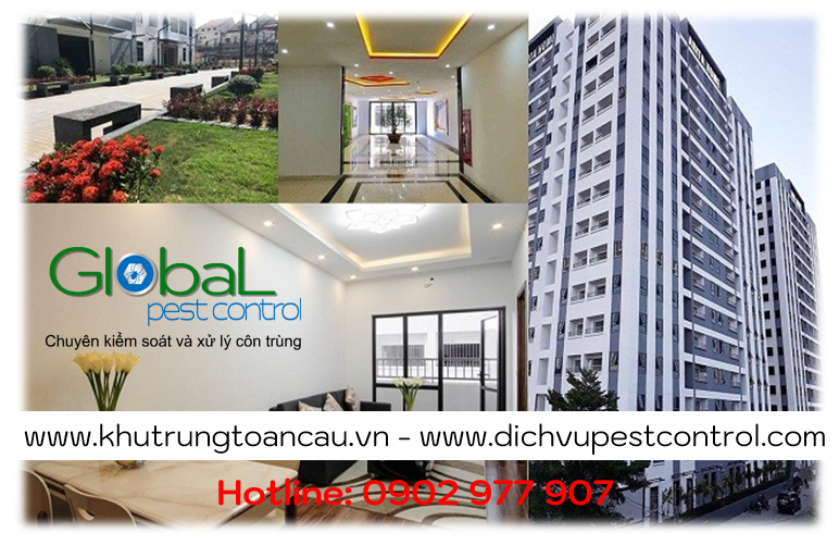 Lý do Khách hàng chọn dịch vụ diệt Gián của Khử Trùng Toàn Cầu