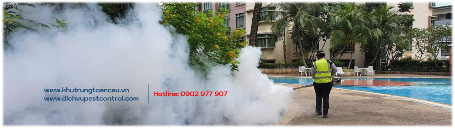 Dịch vụ xử lý và phun thuốc diệt Muỗi hiệu quả do Khử Trùng Toàn Cầu thực hiện