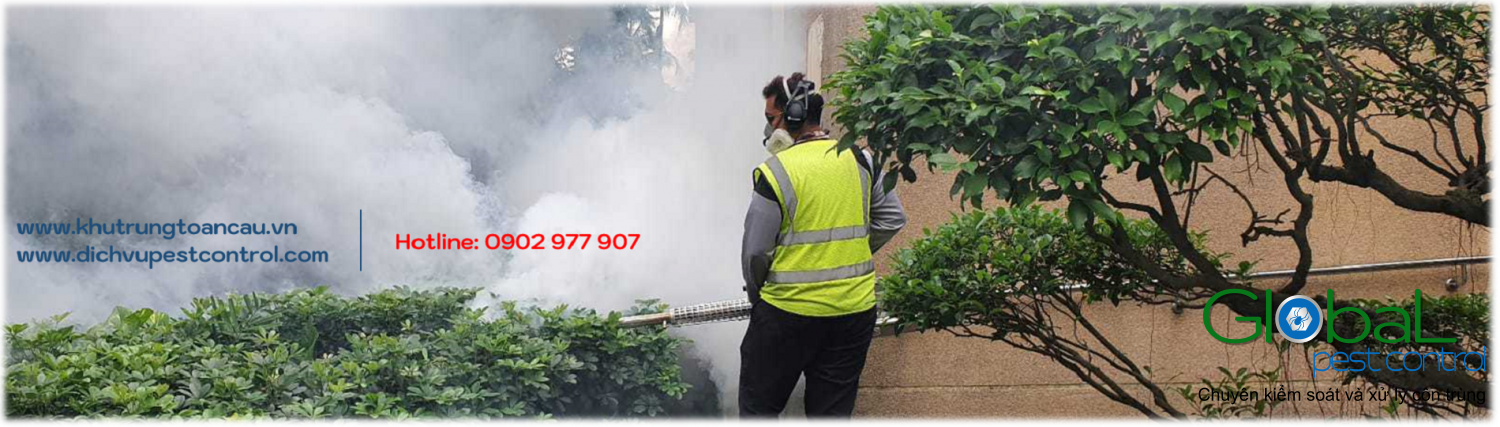 Khách hàng có quyền an tâm về chất lượng dịch vụ pest control tại Quận 11, Quận 12