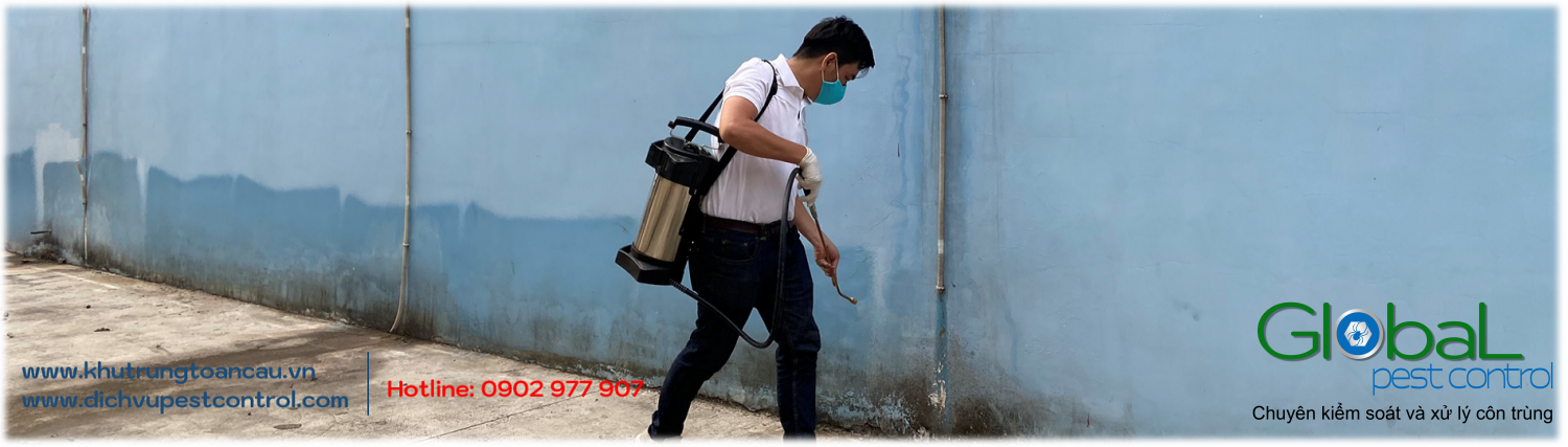 Dịch vụ pest control tại Quận 5, Quận 6 dành cho nhiều lĩnh vực khác nhau