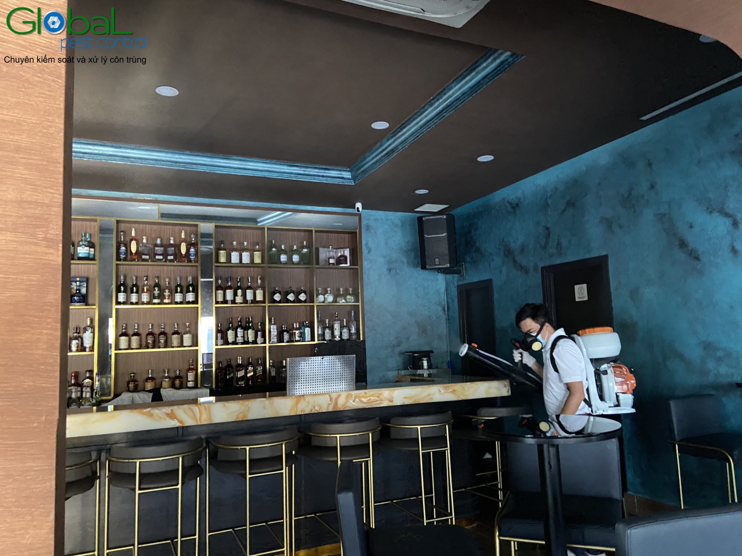 Dịch vụ phun thuốc diệt Ruồi giấm cho Nhà hàng, Quán ăn, Quán cafe