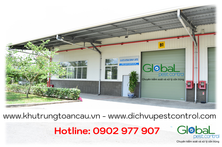 Dịch vụ xử lý và diệt Chuột cho nhà xưởng, kho hàng