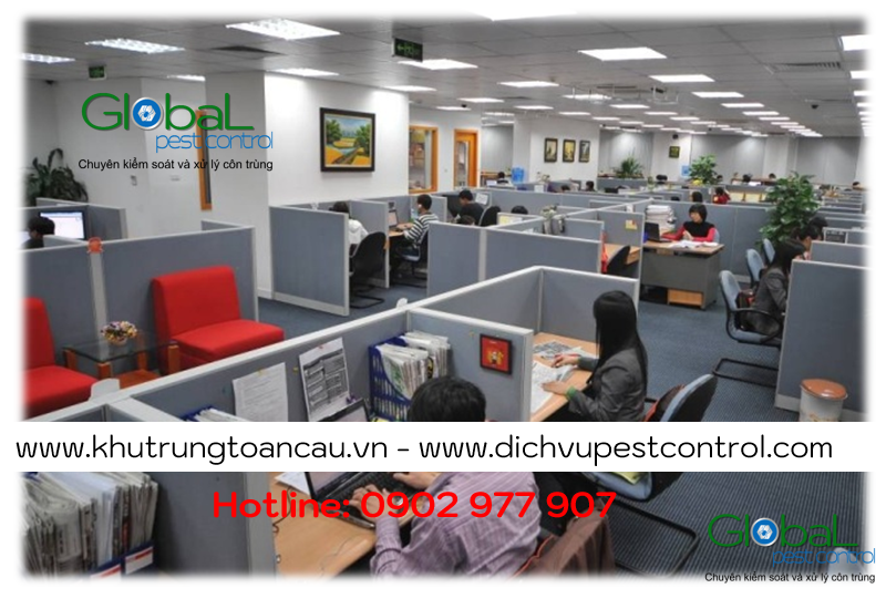 Dịch vụ xử lý và diệt Chuột cho văn phòng