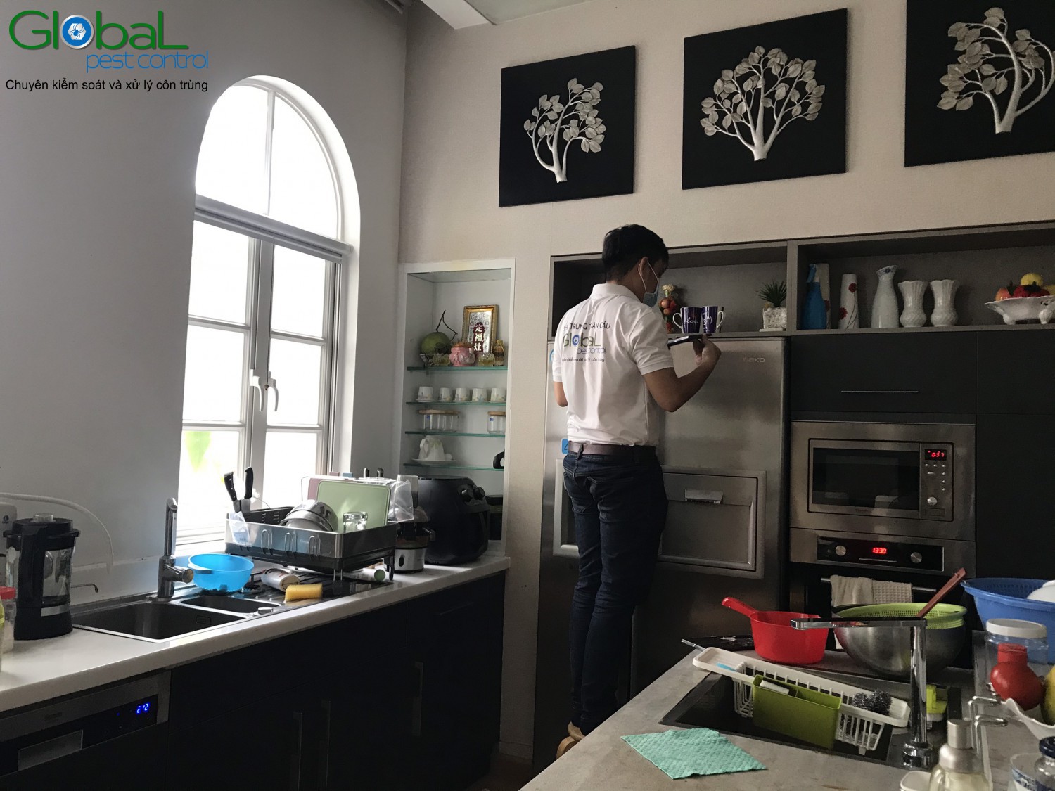 dịch vụ xử lý và diệt Chuột