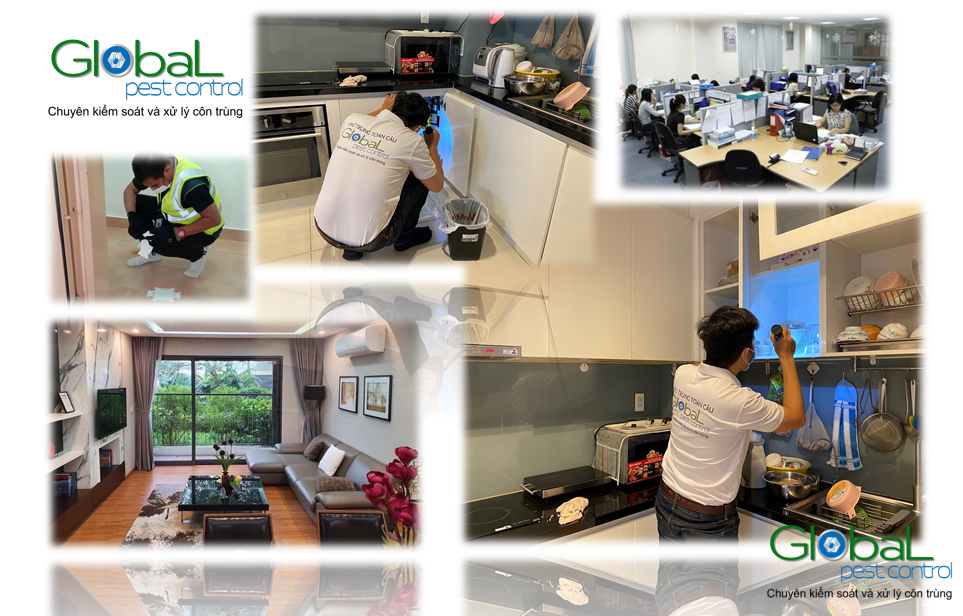 Dịch vụ Pest Control tại Gò vấp, Hóc môn – Xử lý và diệt côn trùng tổng hợp