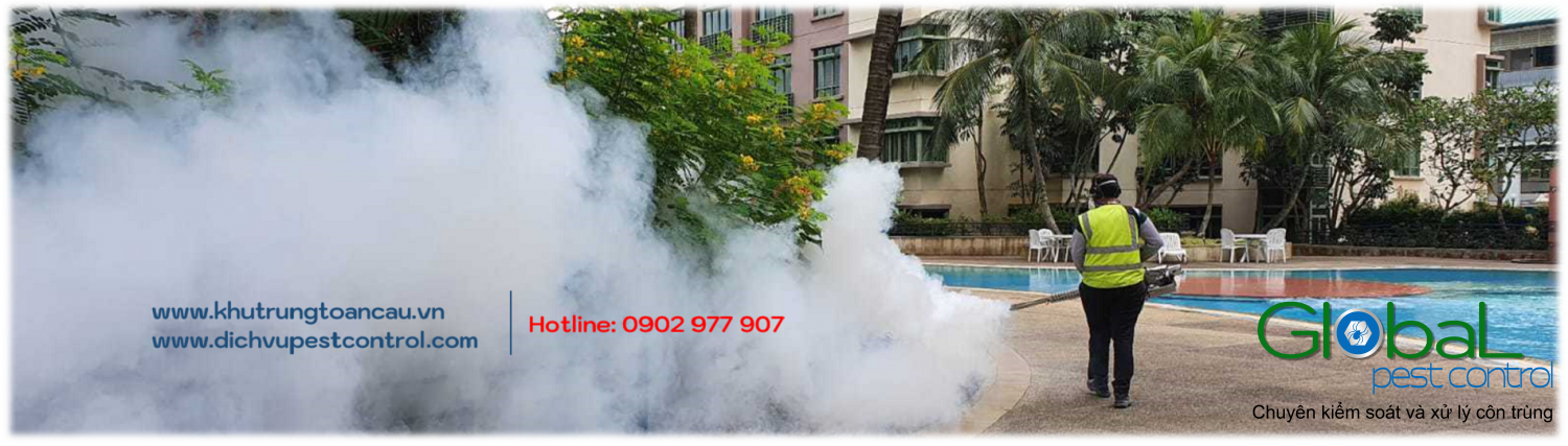 Khách hàng có quyền an tâm về chất lượng dịch vụ pest control tại Quận 3, Quận 4