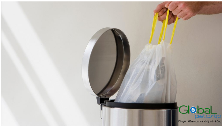 kiến trong nhà bếp 01