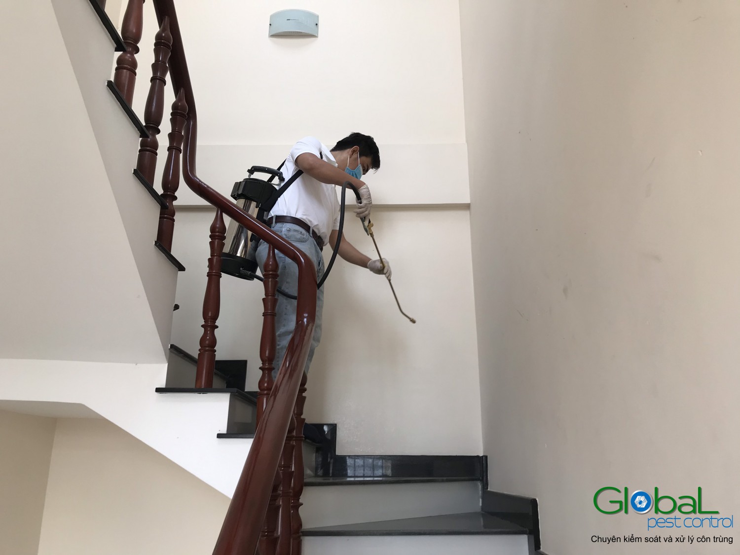 kiến trong phòng ngủ