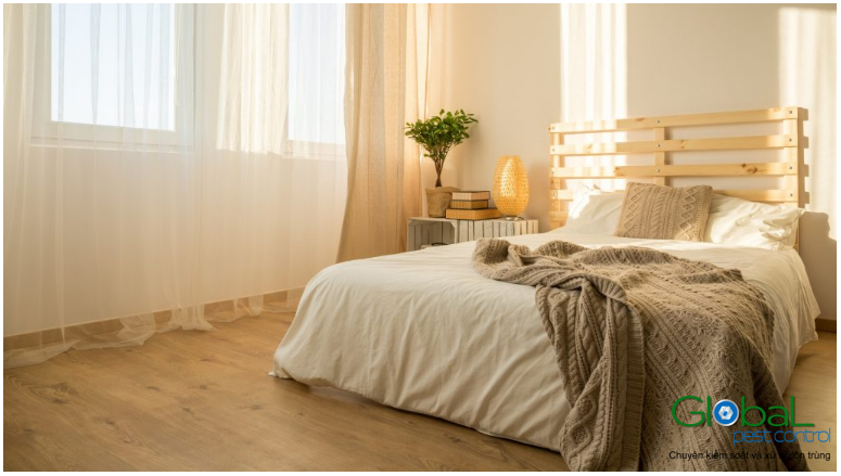 kiến trong phòng ngủ