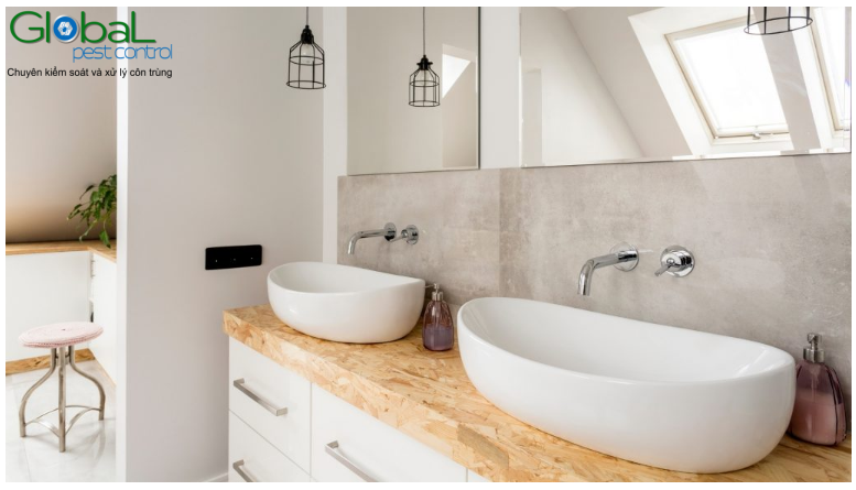 kiến trong phòng tắm 01