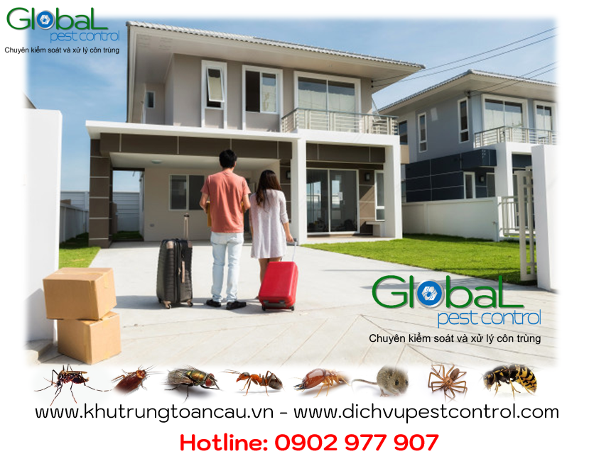 xử lý côn trùng cho nhà mới